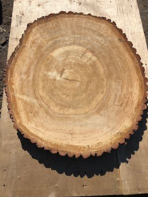 Baumscheibe / Holzscheiben 70cmx70cmx8cm, Tischplatte, Eiche