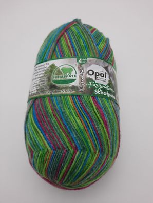 Opal Pullover und Sockenwolle "Faszination Schafpate" grün/ pink