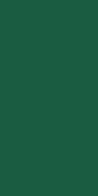 Duni Servietten jägergrün 33x33cm 3lagig 250 Stück gefaltet
