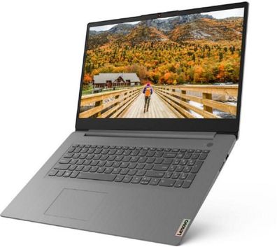 Lenovo IdeaPad 3 17 82KV00ABGE, 17,3 Zoll/43,94 cm, AMD Ryzen 5 5500U, DDR4