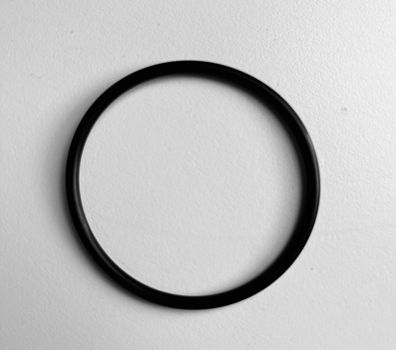 O-Ring für Speckpumpen