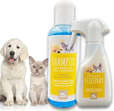 Entfiltzungsspray + Hunde & Katzen Shampoo I Fellpflege Shampoo gegen Juckreiz