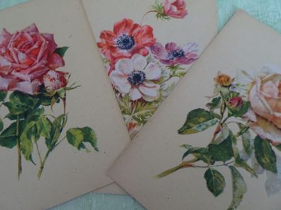 3 alte Postkarten Rosen Anemonen Blumen wie gemalt Schött AG