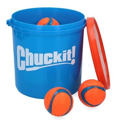Chuckit Bucket mit ultra ball Medium 8 St. M 6cm