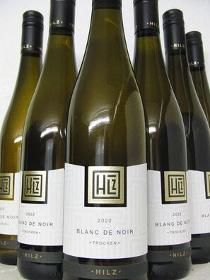 6 FL 2022 Blanc de Noir Weißwein trocken Weingut Klaus Hilz Pfalz