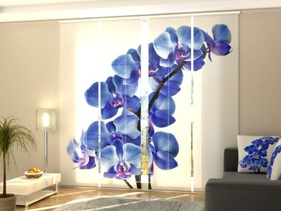 Foto-Schiebegardine blaue Orchidee, Flächenvorhang mit Motiv, Digitaldruck, auf Maß