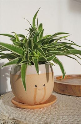 Weinender Pflanzentopf Winkee Blumentopf mit Schale Keramik Übertopf handmade