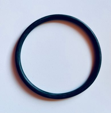 O-Ring für Neptun Unterwasserscheinwerfer 300 W