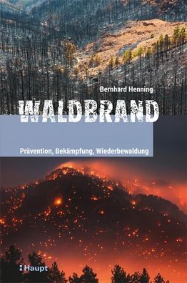 Waldbrand Praevention, Bekaempfung, Wiederbewaldung Henning, Bernha
