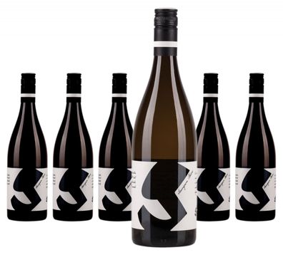 6 x Glatzer Sauvignon Blanc – 2022