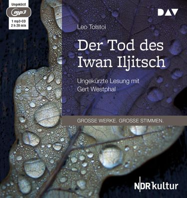 Der Tod des Iwan Iljitsch, 1 Audio-CD, 1 MP3 Software