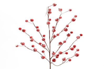 Strauß Beerenstrauß rot beschneit Dekostrauß Weihnachten