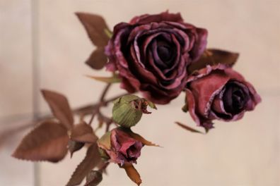 Rose künstlich, Farbe Rot, Rosenzweig Trockenoptik, Kunstblume, Seidenblumen