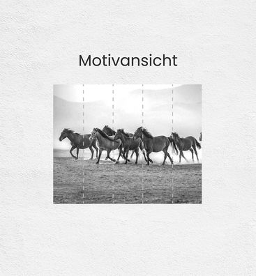 Fototapete freilaufende Pferde am Strand Wanddeko Bildtapete Tapete