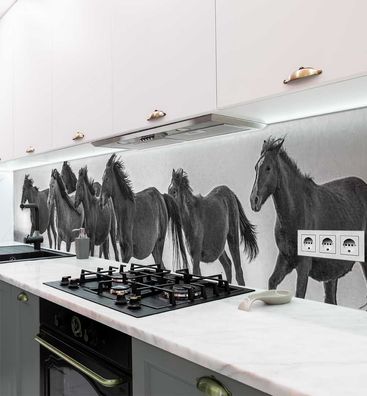 Küchenrückwand freilaufende Pferde am Strand selbstklebend Spritzschutz Folie