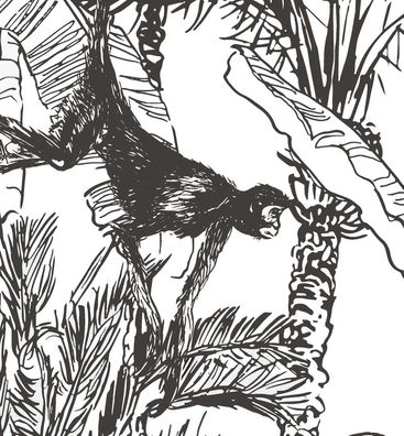 Küchenrückwand Dschungel Zeichnung mit Affen selbstklebend Spritzschutz Folie