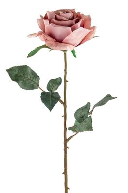 Fink ROSE m. zwei Blättern, Bella, rose Höhe 66cm 180374