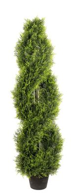 Fink Zypresse Spirale, getopft, grün H.120cm