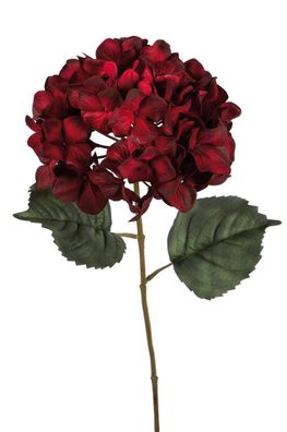 Fink Hortensie m. zwei Blättern, dunkel-rot Höhe 68cm 183009