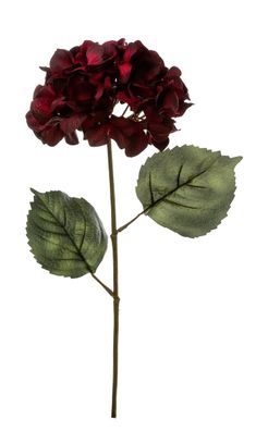Fink Hortensie m. zwei Blättern, dunkel-rot Höhe 48cm 183008
