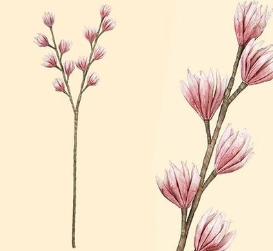 Gilde Dendrobium-Orchidee pink 2 Stiele, Kunstblume, Pflanze, Deko