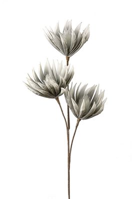 Gilde Dahlie mit 3 Blüten grau 42859