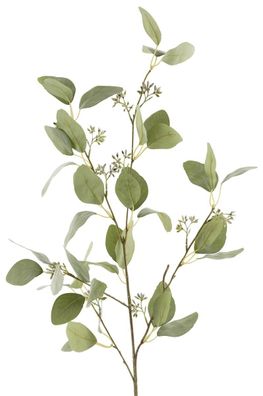 Fink Eucalyptuszweig grün, mit Blüte Höhe 114cm 188122