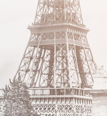 Zaunsichtschutz Blick auf Eiffelturm