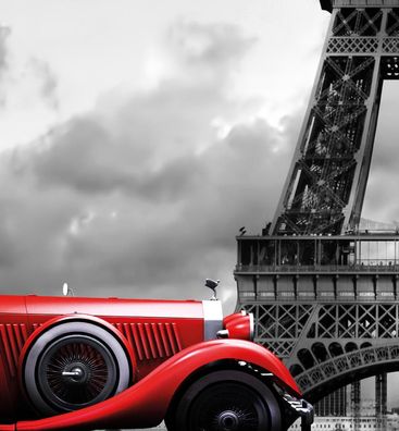 Zaunsichtschutz Auto in Paris Sichtschutz Garten Zaun