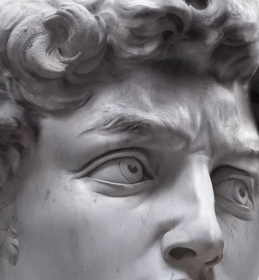 Zaunsichtschutz David Statue Sichtschutz Garten Zaun