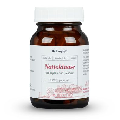 BioProphyl Nattokinase | hochdosiert 2.000 FU - 100 mg Nattokinase | 120 Kapseln