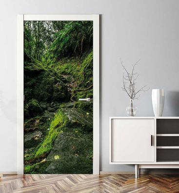 Türtapete Zugewachsener Wald Türbild Türaufkleber Folie