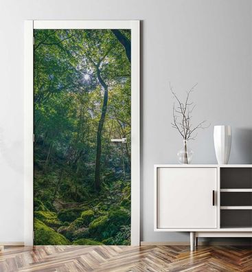 Türtapete Felsiger Wald Türbild Türaufkleber Folie