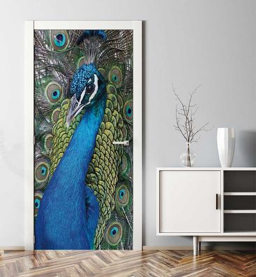 Türtapete Stolzer Pfau Türbild Türaufkleber Folie