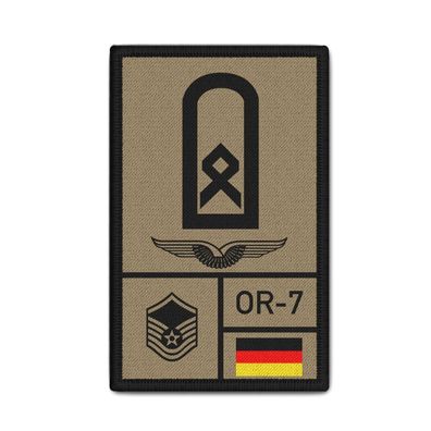 Rank Patch BW Hauptfeldwebel Luftwaffe Bundeswehr Hptfw Abzeichen Nato #38607