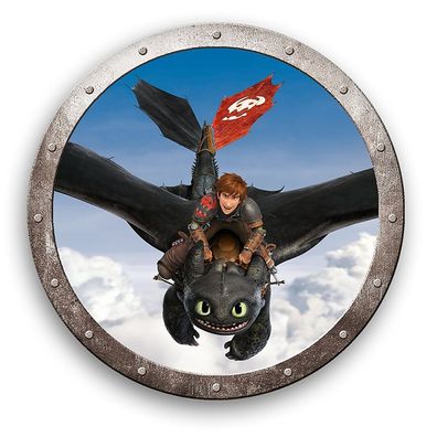Drachenflug | Kinder Deko-Kissen Rund 36 cm | DreamWorks Dragons