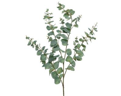 Eukalyptus Kunstpflanze Kunstblume Hochzeit Dekoration grün H 118 cm