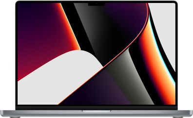 APPLE Macbook PRO 16" 1TB 16 GB RAM 2021 M1 PRO 10-CORE SPACE GRAU (MK193D/ A) Sehr G