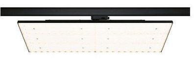 Paulmann 96582 ProRail3 3-Phasen Schienensystem LED Panel Deck schwarz 3000K