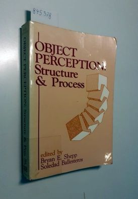 Object Perception: Structure and Process