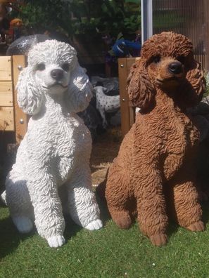 Pudel Deko Figur lebensecht Hund Garten 48cm lebensgroß wetterfest Hotant NEU