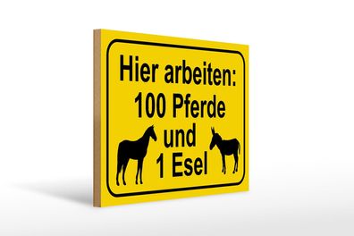 Holzschild Hinweis 40x30 cm Arbeiten 100 Pferde und 1 Esel Schild wooden sign