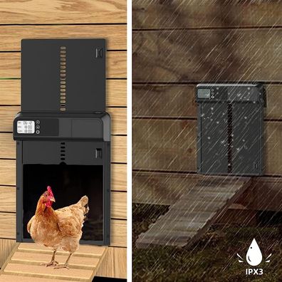 Timer-Hühnerstalltür - Automatische Hühnerstalltür mit Lichtsensor - Vollständig was