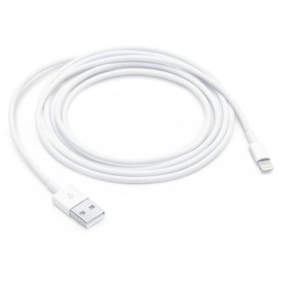Apple Lightning auf USB Kabel 2m (MD819ZM/ A)
