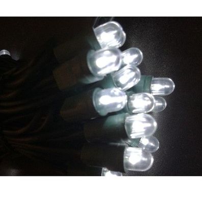 Außen Lichterketten mit LED 40-flg., in kaltweiß, 4m