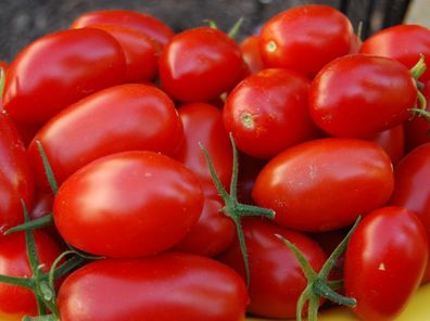 Tomate Russische Süße Pflaume - 5+ Samen - FEIN und ertragreich! P 089