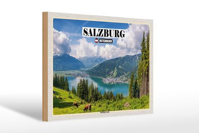 Holzschild Reise Österreich Salzburger Land Natur 30x20 cm Schild wooden sign