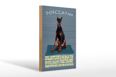 Holzschild Spruch 20x30 cm Dobermann Hund fast learn and Deko Schild wooden sign