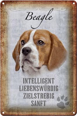 Blechschild Spruch 20x30 cm Beagle Hund Geschenk Metal Deko Schild tin sign