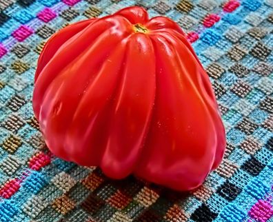 Tomate - Cuore Di Bue - Italienisch Ochsenherz Tomate 5+ Samen - RIESIG! P 095